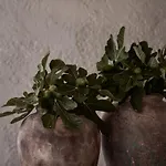 Nomad Mykonos - Small Luxury Of The World 酒店
