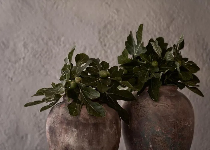 Nomad Mykonos - Small Luxury Of The World 酒店